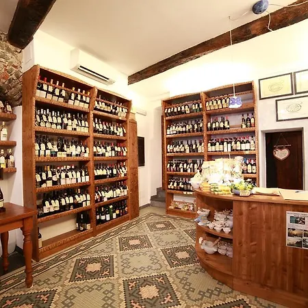 公寓 A Ca Da Vaniglia 蒙特罗索阿尔马雷