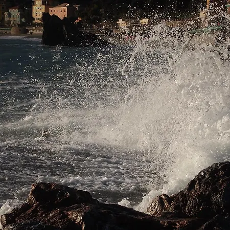 A Ca Da Vaniglia Monterosso al Mare