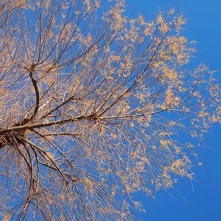 公寓 A Ca Da Vaniglia *